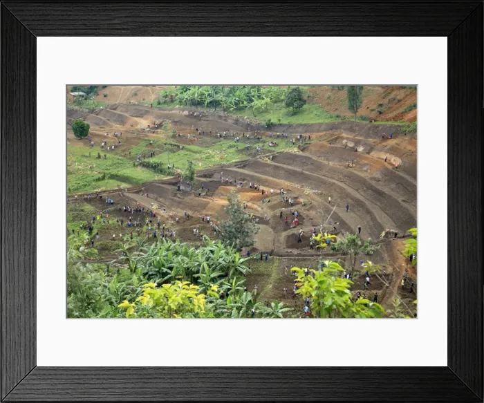 Framed Print : Picture No. 10984323