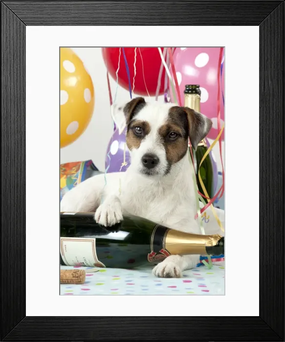 Framed Print : Picture No. 10983667 Framed Print : Picture No. 10983667