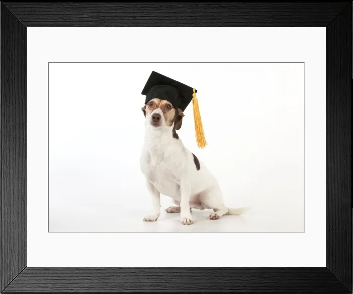 Framed Print : Picture No. 10983671 Framed Print : Picture No. 10983671