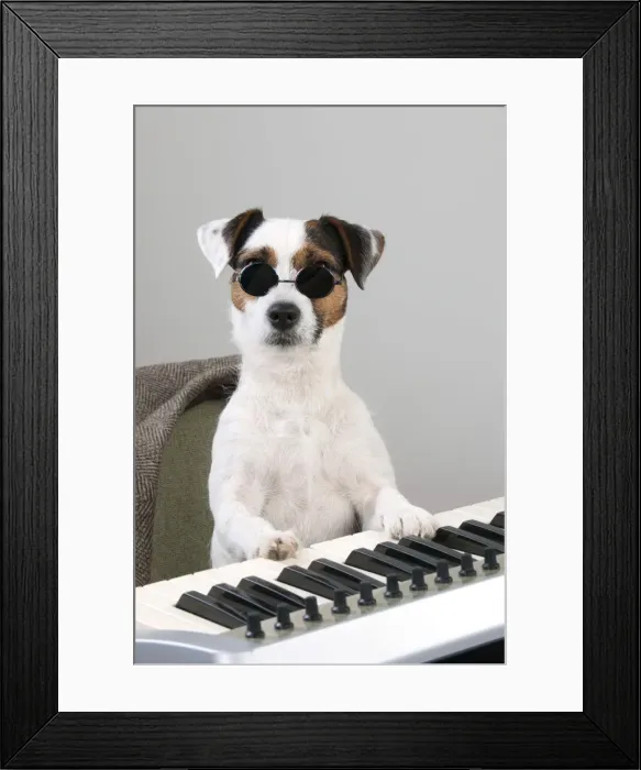Framed Print : Picture No. 10983677