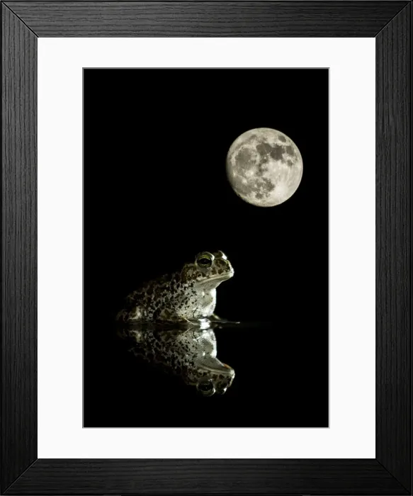 Framed Print : Picture No. 10983697 Framed Print : Picture No. 10983697