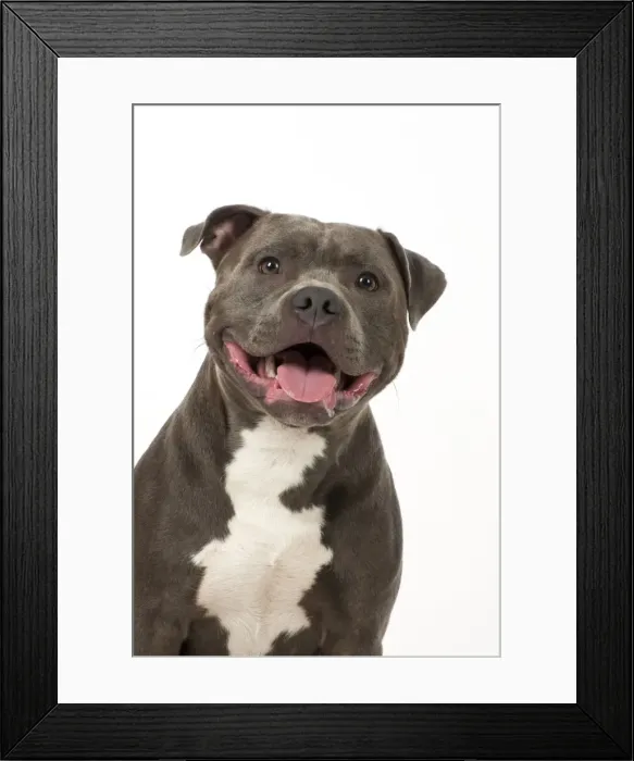 Framed Print : Picture No. 10983753 Framed Print : Picture No. 10983753