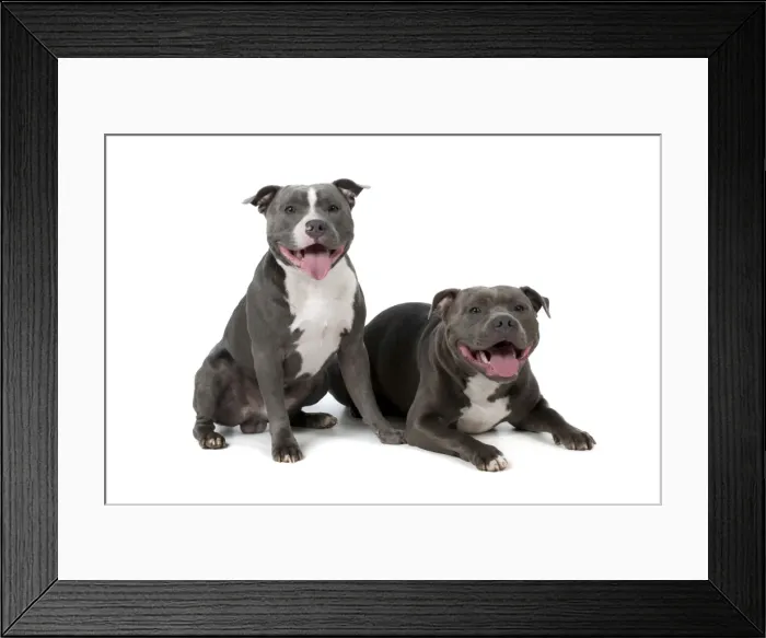 Framed Print : Picture No. 10983754 Framed Print : Picture No. 10983754