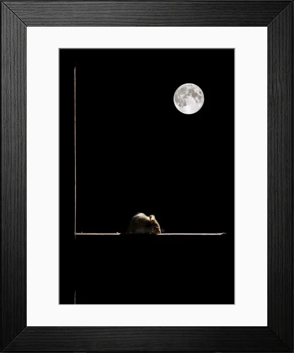 Framed Print : Picture No. 10983696 Framed Print : Picture No. 10983696
