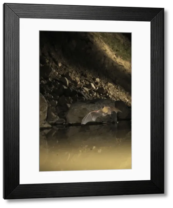 Framed Print : Picture No. 10894401 Framed Print : Picture No. 10894401