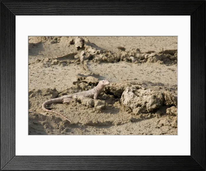 Framed Print : Picture No. 10894614 Framed Print : Picture No. 10894614