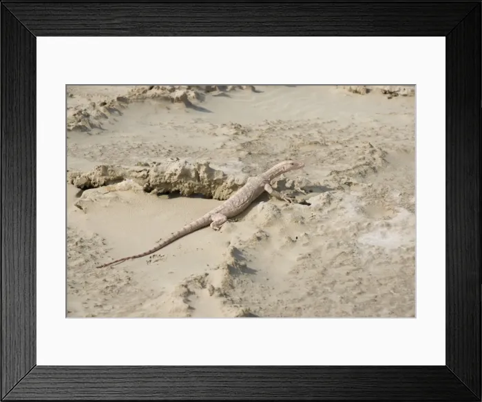 Framed Print : Picture No. 10894616 Framed Print : Picture No. 10894616