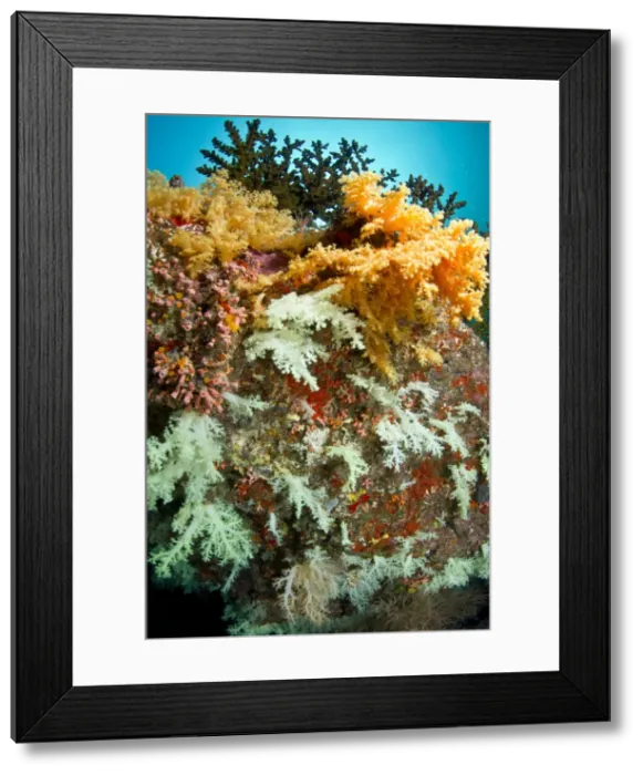 Framed Print : Picture No. 10892901