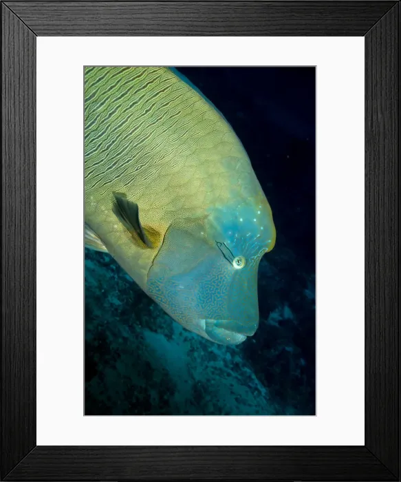 Framed Print : Picture No. 10892896 Framed Print : Picture No. 10892896