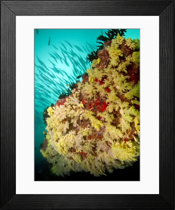 Framed Print : Picture No. 10892914 Framed Print : Picture No. 10892914