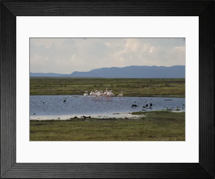 Framed Print : Picture No. 10895670 Framed Print : Picture No. 10895670