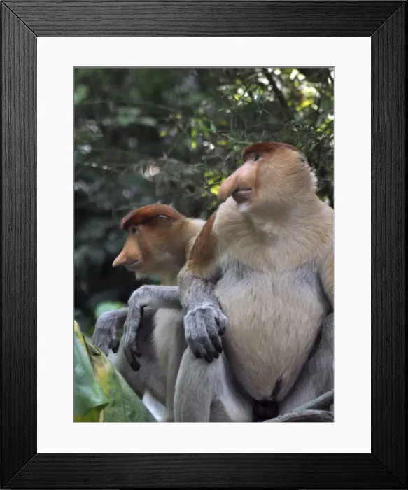 Framed Print : Picture No. 10894881
