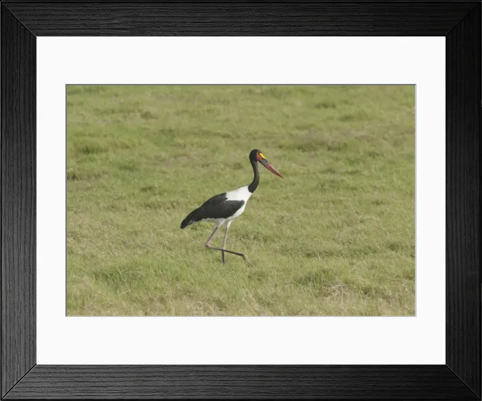 Framed Print : Picture No. 10895681 Framed Print : Picture No. 10895681