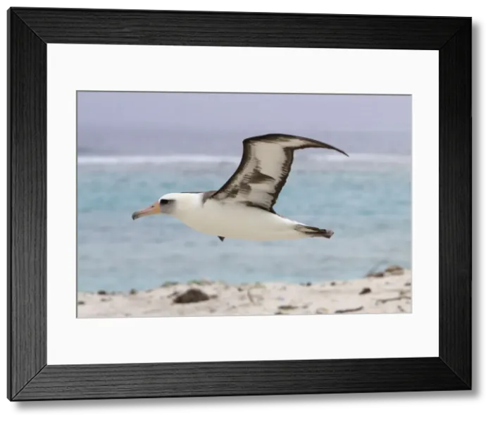 Framed Print : Picture No. 10898611 Framed Print : Picture No. 10898611