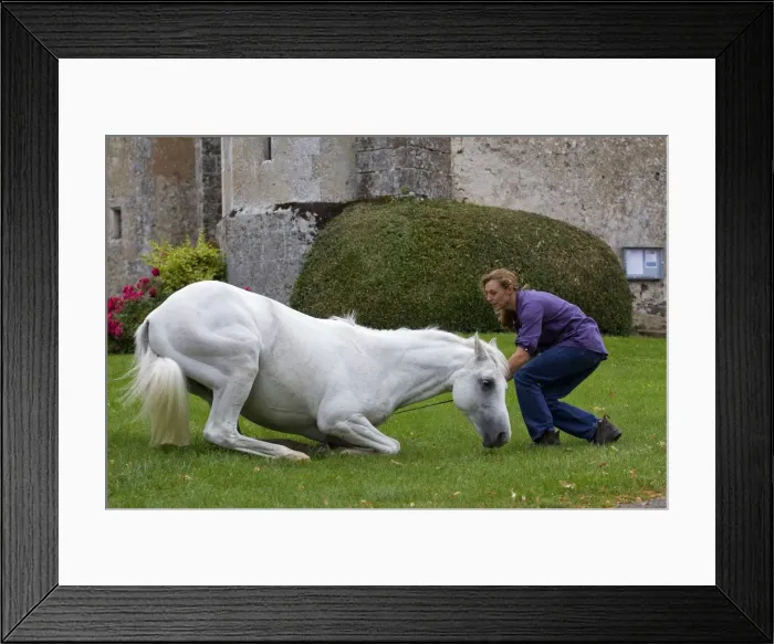 Framed Print : Picture No. 10898675 Framed Print : Picture No. 10898675