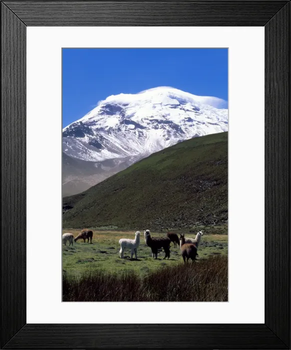 Framed Print : Picture No. 10850909 Framed Print : Picture No. 10850909