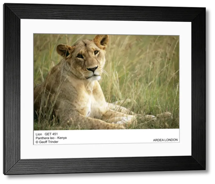Framed Print : Picture No. 10851259
