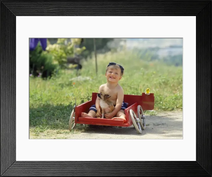 Framed Print : Picture No. 10851127 Framed Print : Picture No. 10851127