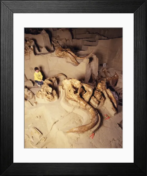Framed Print : Picture No. 10850971 Framed Print : Picture No. 10850971