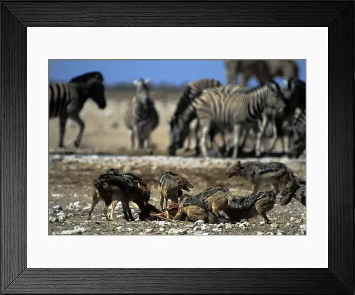 Framed Print : Picture No. 10848736