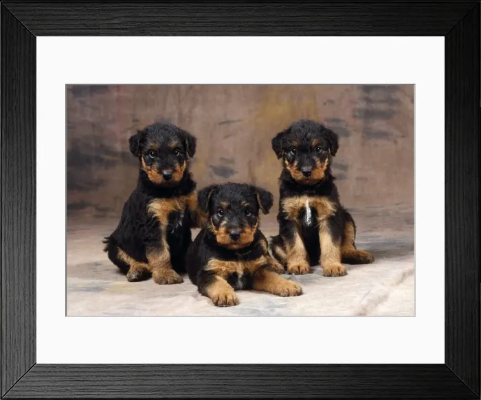Framed Print : Picture No. 10851721 Framed Print : Picture No. 10851721