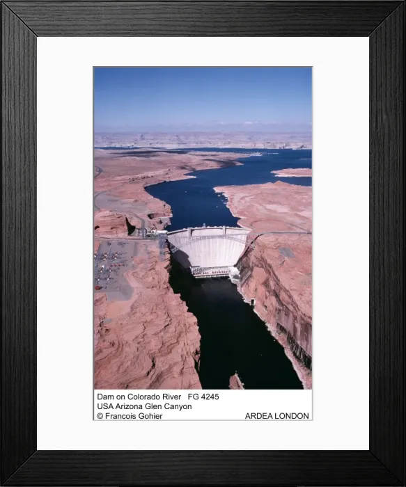 Framed Print : Picture No. 10850488 Framed Print : Picture No. 10850488