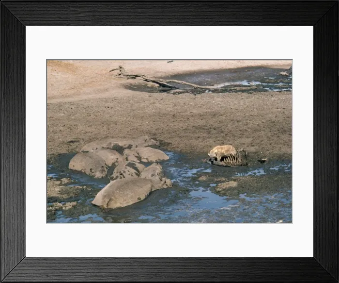 Framed Print : Picture No. 10848858 Framed Print : Picture No. 10848858