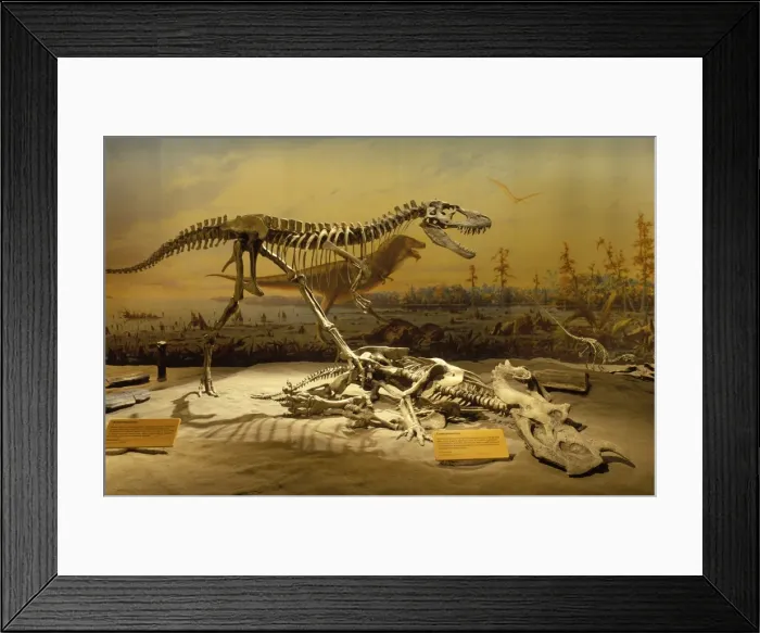 Framed Print : Picture No. 10850717