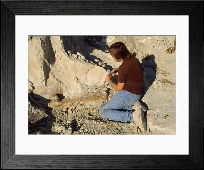 Framed Print : Picture No. 10850679 Framed Print : Picture No. 10850679