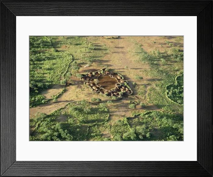 Framed Print : Picture No. 10848614 Framed Print : Picture No. 10848614