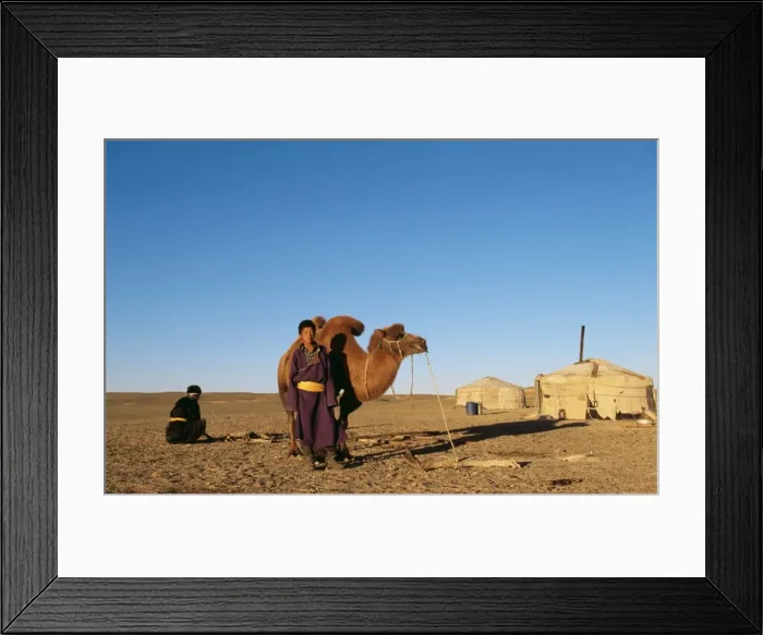 Framed Print : Picture No. 10850775 Framed Print : Picture No. 10850775