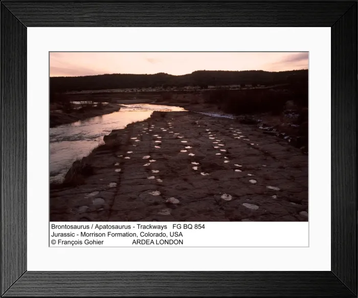 Framed Print : Picture No. 10850338 Framed Print : Picture No. 10850338