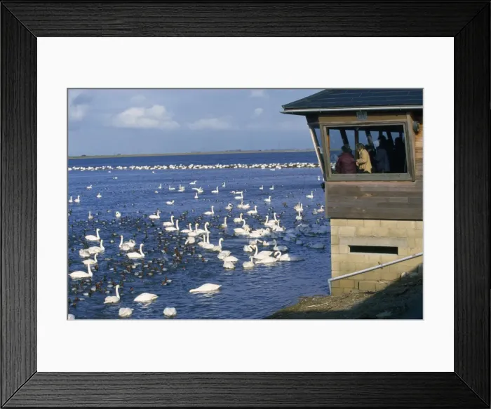 Framed Print : Picture No. 10849169