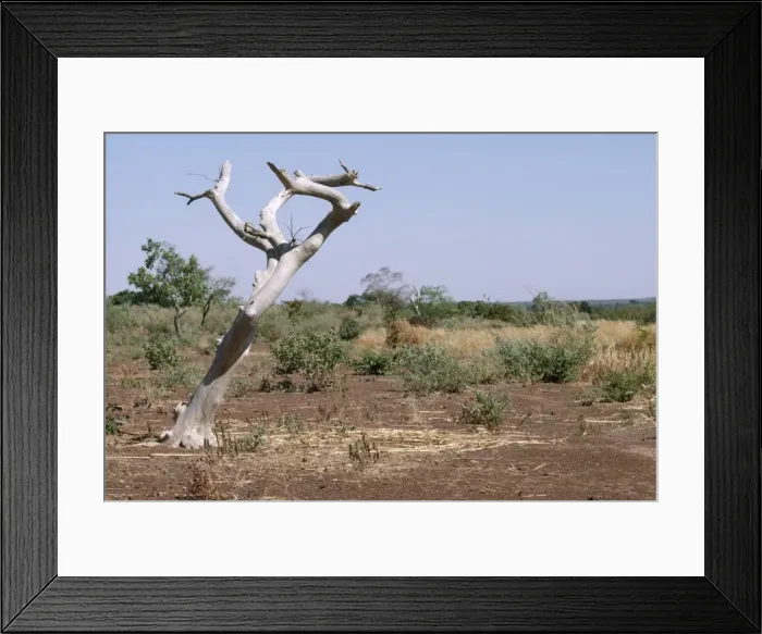 Framed Print : Picture No. 10848790 Framed Print : Picture No. 10848790