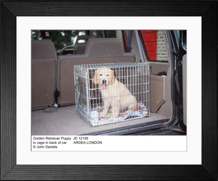 Framed Print : Picture No. 10851757 Framed Print : Picture No. 10851757