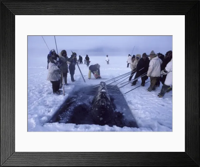 Framed Print : Picture No. 10850565