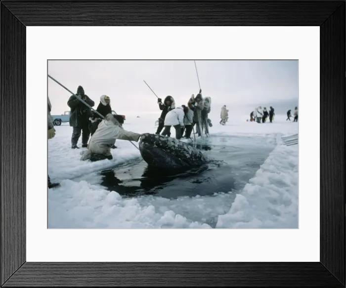 Framed Print : Picture No. 10850568