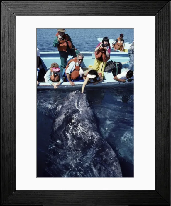 Framed Print : Picture No. 10850272 Framed Print : Picture No. 10850272