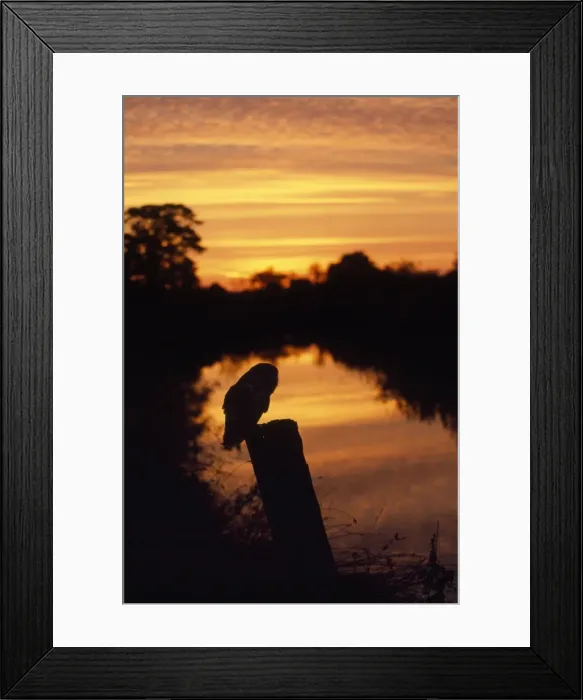 Framed Print : Picture No. 10849136 Framed Print : Picture No. 10849136