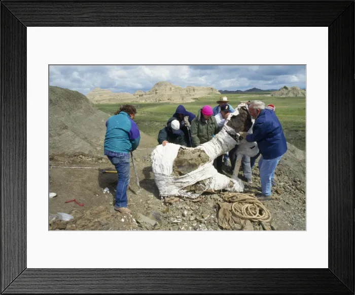 Framed Print : Picture No. 10850878 Framed Print : Picture No. 10850878