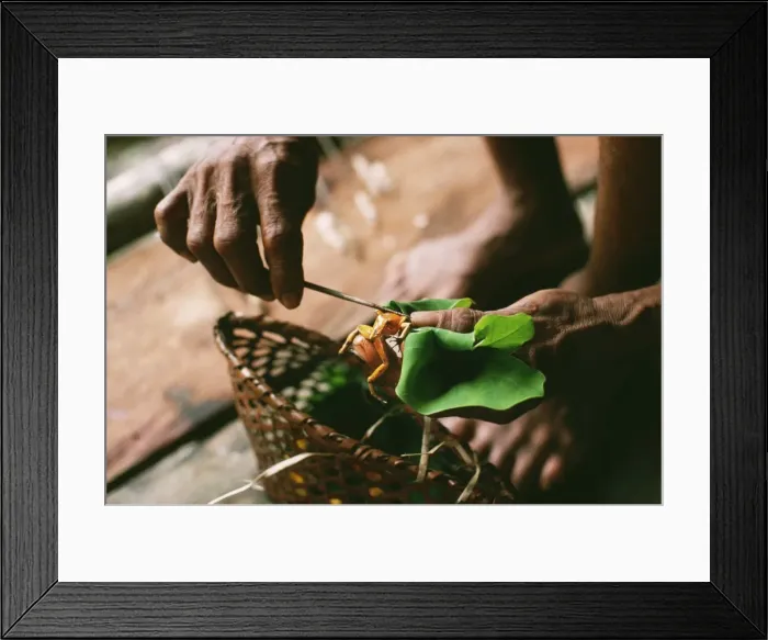 Framed Print : Picture No. 10848709 Framed Print : Picture No. 10848709