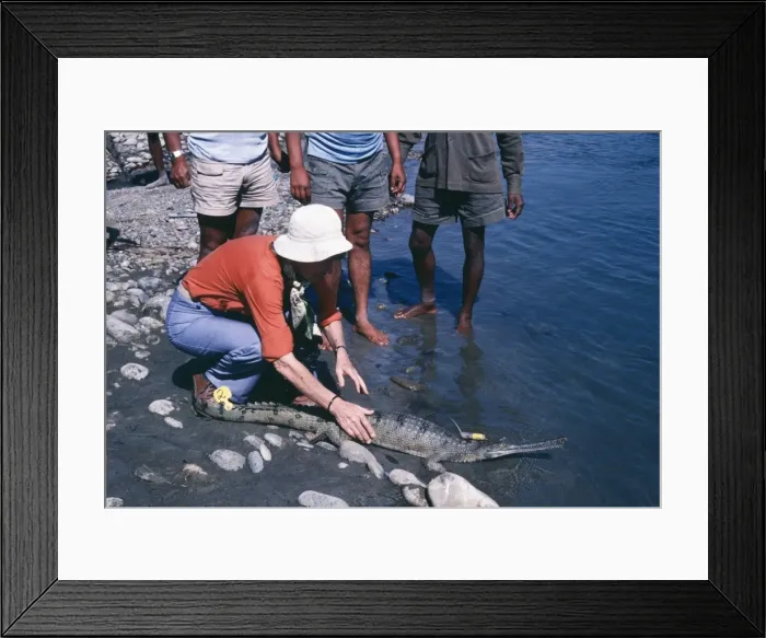Framed Print : Picture No. 10849020 Framed Print : Picture No. 10849020