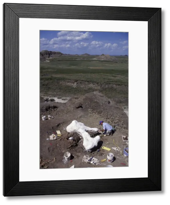 Framed Print : Picture No. 10850877 Framed Print : Picture No. 10850877