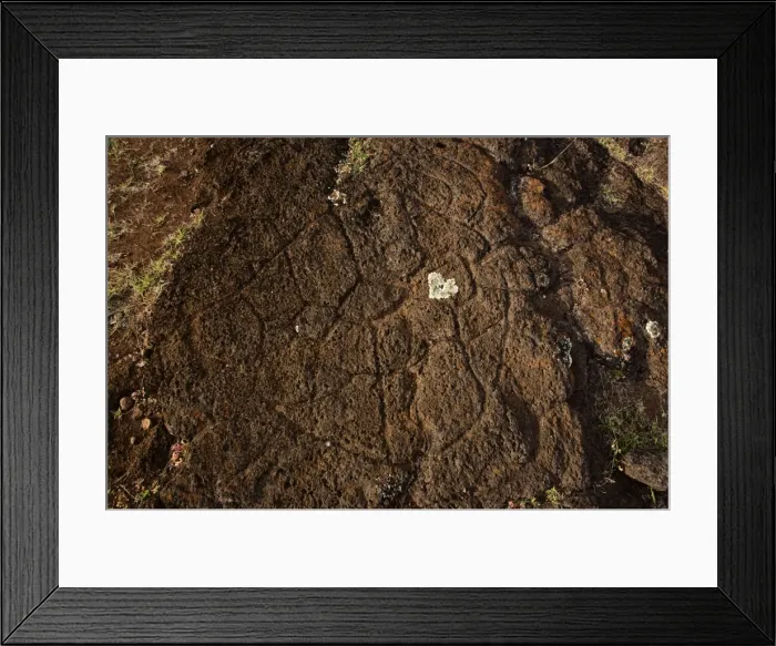 Framed Print : Picture No. 10861960 Framed Print : Picture No. 10861960