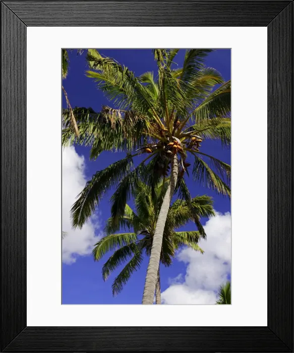 Framed Print : Picture No. 10861950 Framed Print : Picture No. 10861950