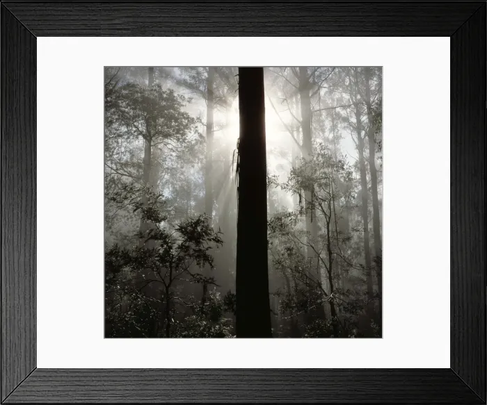 Framed Print : Picture No. 10862976 Framed Print : Picture No. 10862976