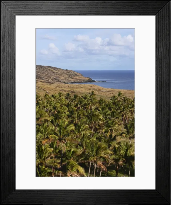 Framed Print : Picture No. 10861948