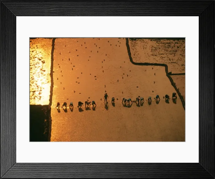 Framed Print : Picture No. 10857265 Framed Print : Picture No. 10857265