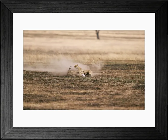 Framed Print : Picture No. 10857329 Framed Print : Picture No. 10857329