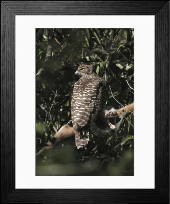 Framed Print : Picture No. 10857982 Framed Print : Picture No. 10857982